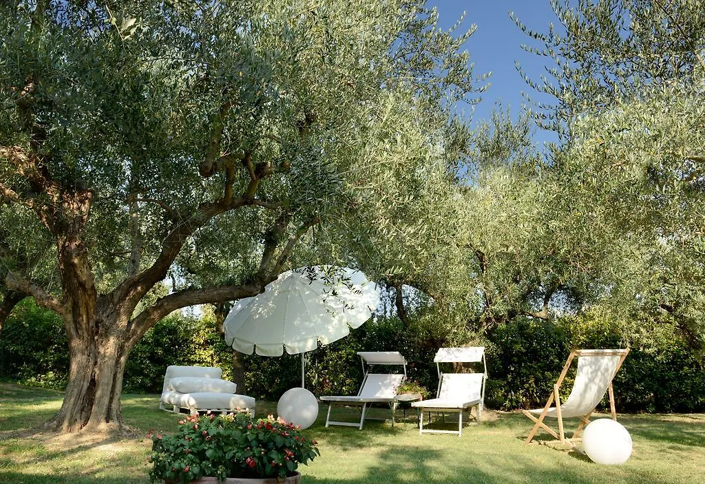 Isola Degli Ulivi Bed and Breakfast Rimini 0*,  Italia