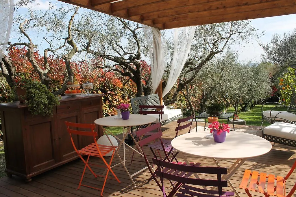 Isola Degli Ulivi Bed and Breakfast Rimini Italia