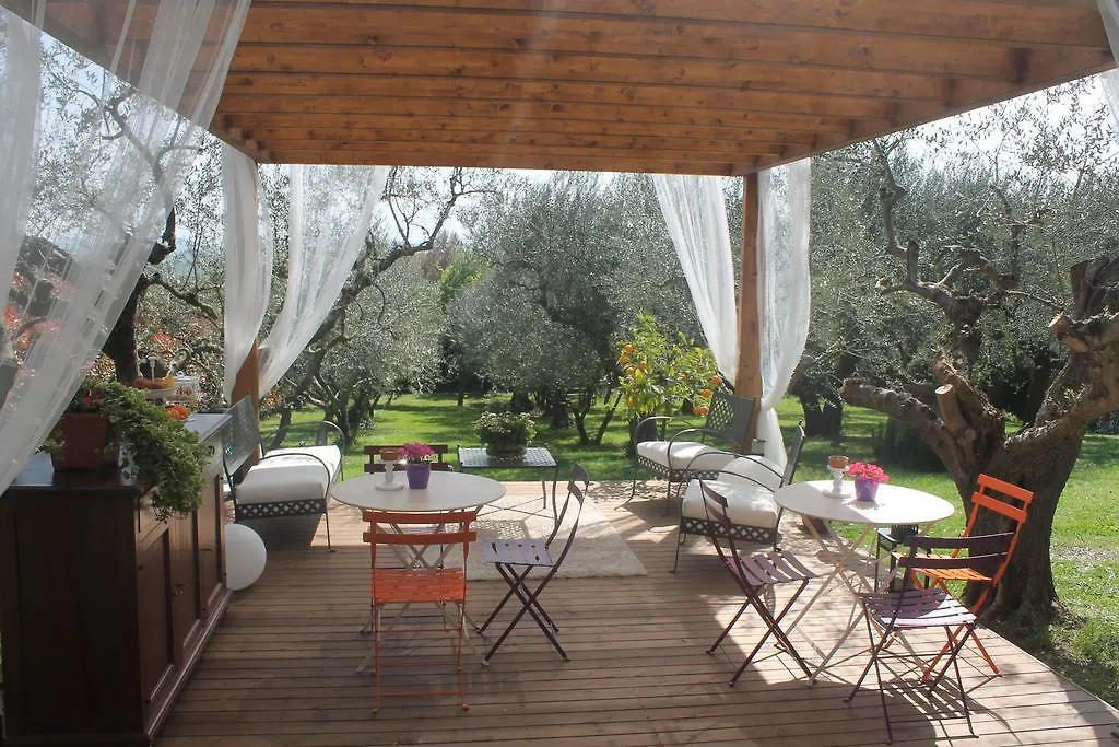 Isola Degli Ulivi Bed and Breakfast Rimini 0*,  Italia