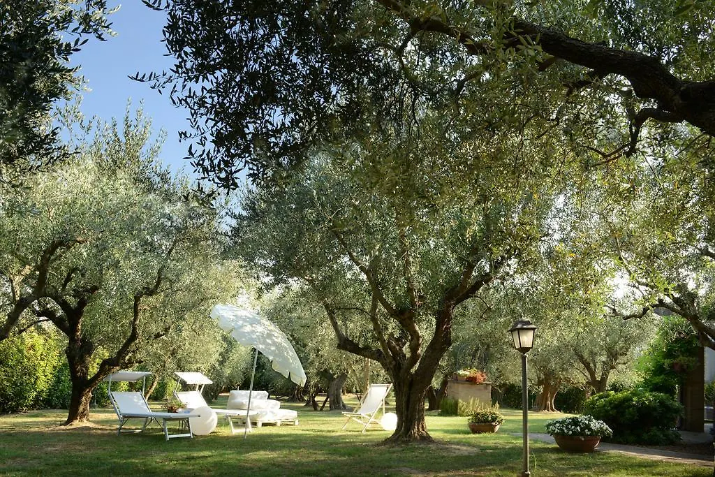 Isola Degli Ulivi Bed & Breakfast Rimini
