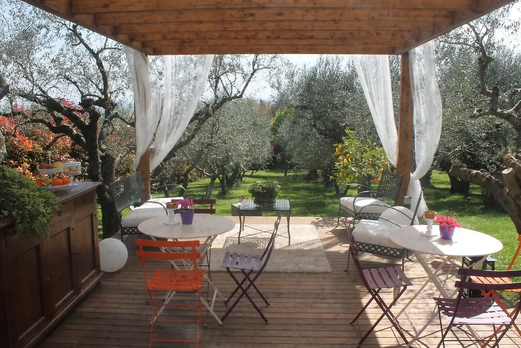 Isola Degli Ulivi Bed & Breakfast Rimini